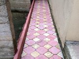 IMG_0019.JPG
