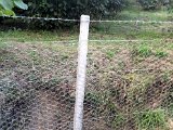 IMG_0023.JPG