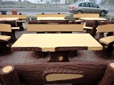 IMG_0029.JPG