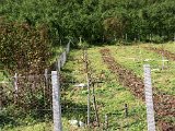 IMG_0055.JPG