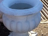 IMG_0059.JPG