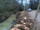 IMG_0073.JPG