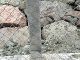 IMG_0272.JPG