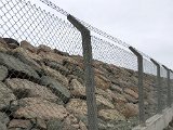 IMG_0274.JPG